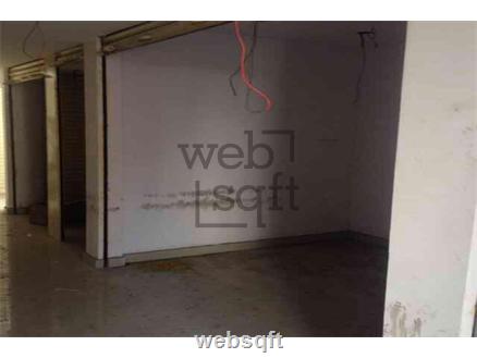 Shop-Mulgi for Sale in Abids